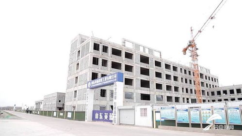 平原縣 聚焦綠色化工與農副產品精深加工，雙輪驅動沖刺百億產值新高地